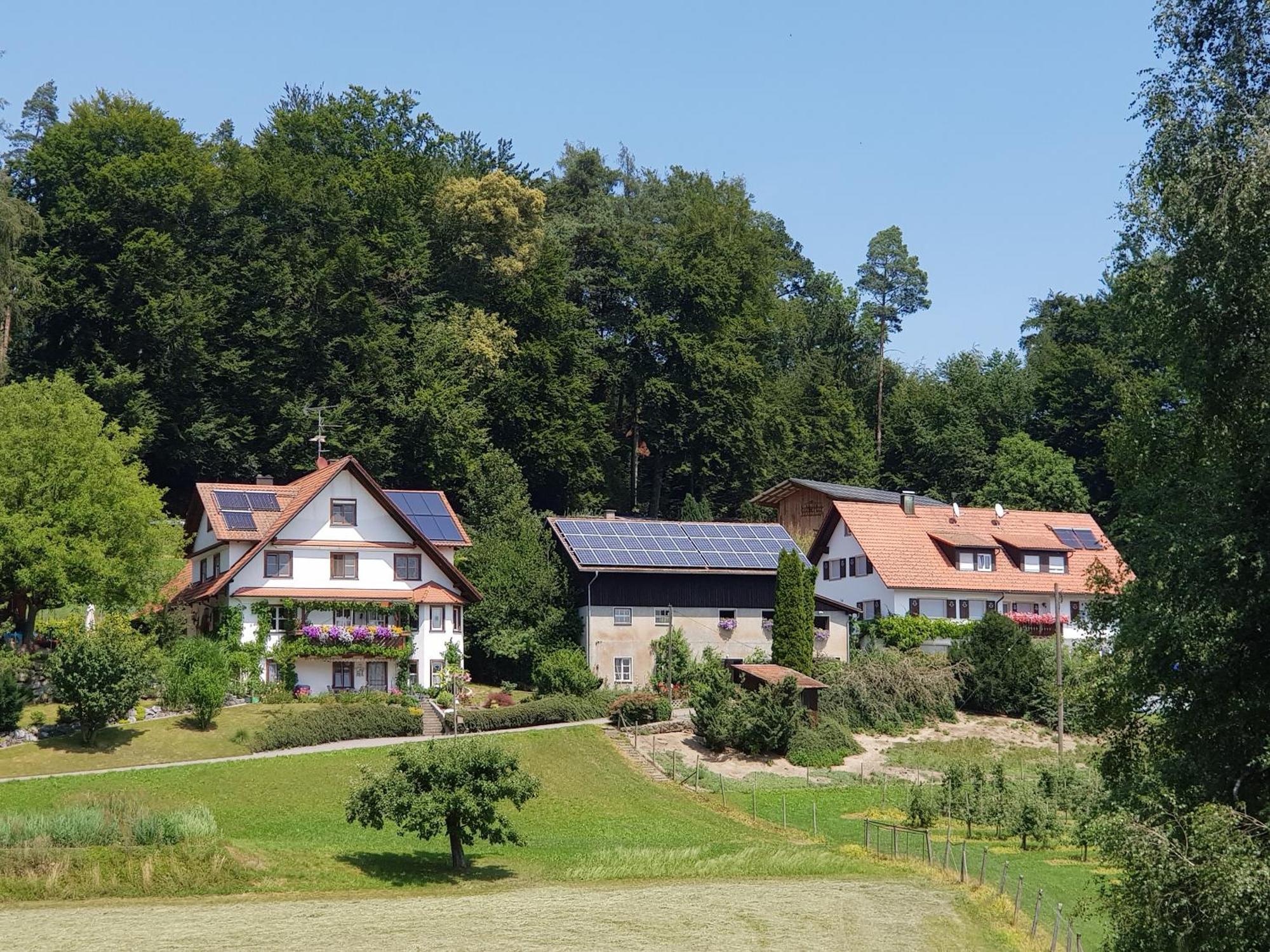 Ferienwohnung Sonnenschein Unterreitnau 외부 사진